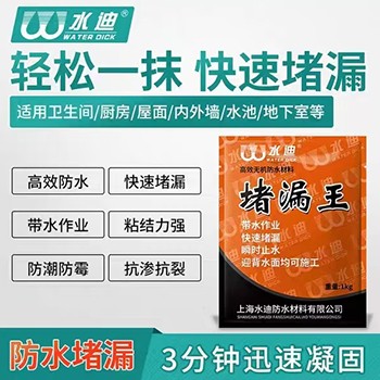  堵漏王